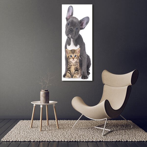 Tablou canvas Câine și pisică