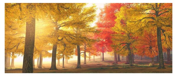 Tablou cu copaci toamna (120x50 cm)