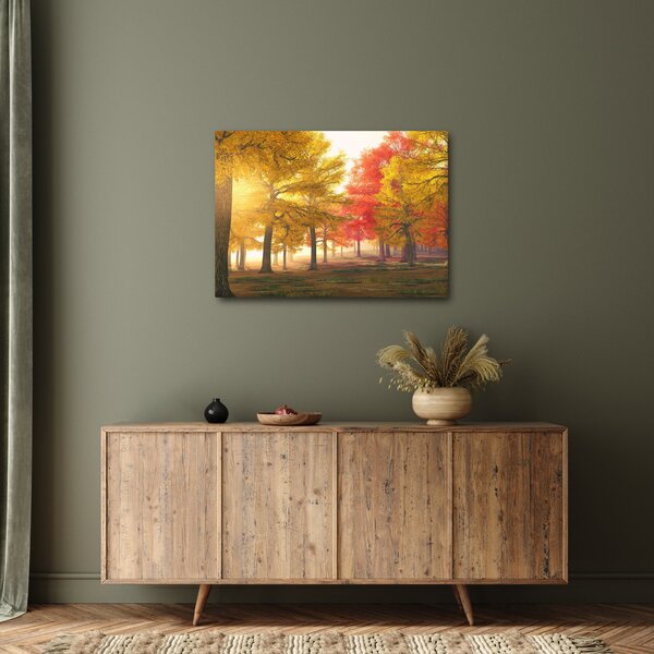 Tablou cu copaci toamna (70x50 cm)