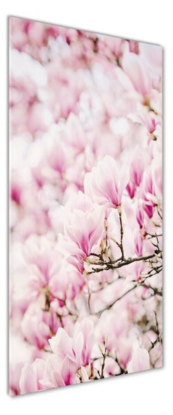 Fotografie imprimată pe sticlă flori magnolia