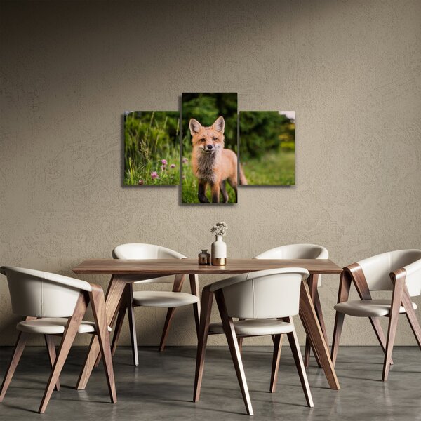 Tablou cu vulpe (90x60 cm)