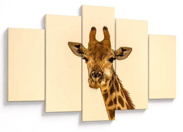 Tablou cu girafe (150x105 cm)