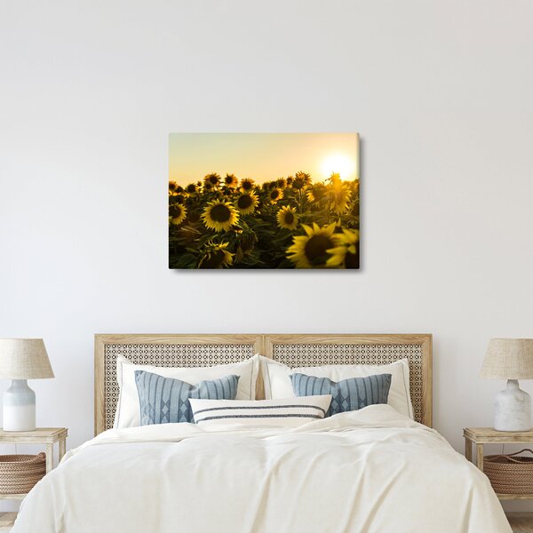 Tablou cu lan de floarea soarelui (70x50 cm)