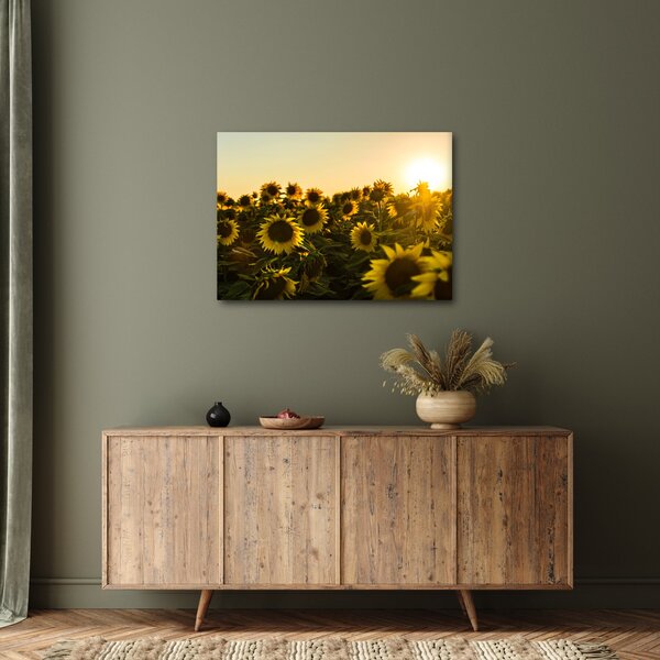 Tablou cu lan de floarea soarelui (70x50 cm)