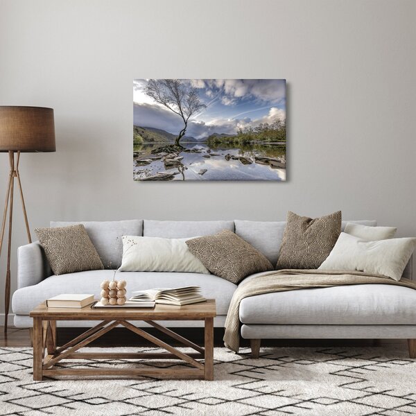 Tablou cu râu și copac (90x60 cm)