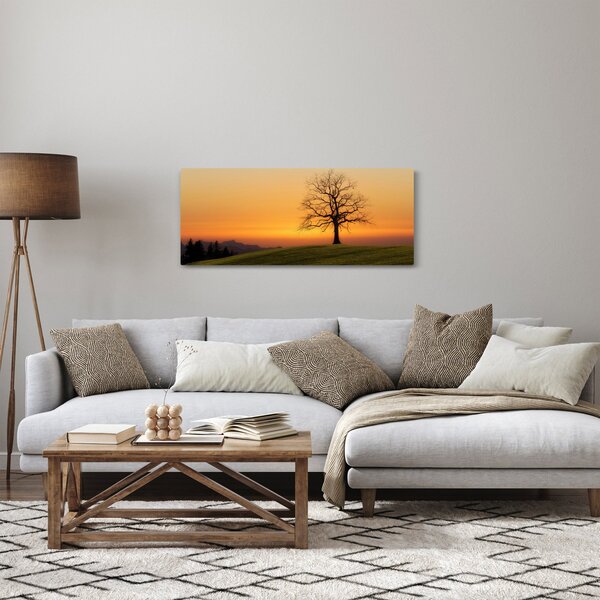 Tablou cu apus de soare pe o luncă (120x50 cm)
