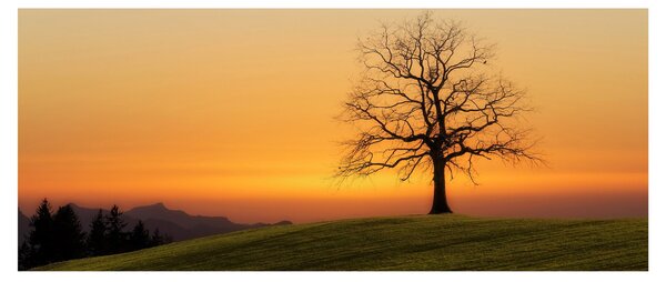 Tablou cu apus de soare pe o luncă (120x50 cm)
