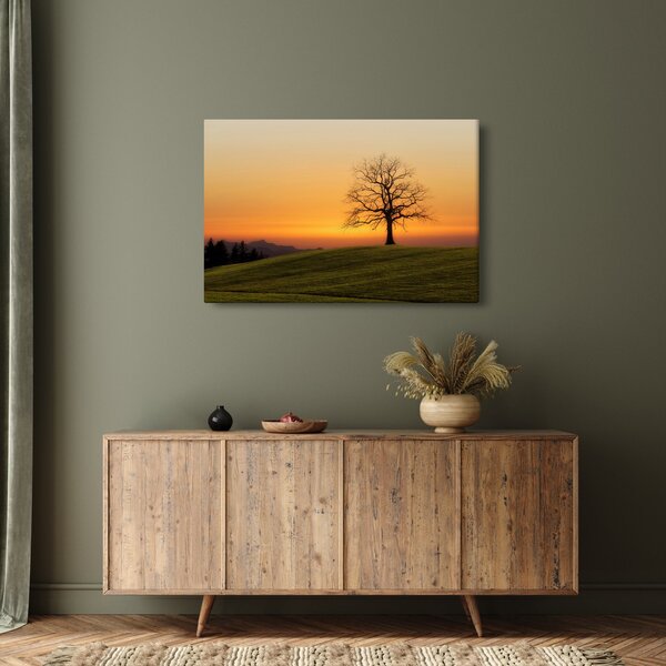 Tablou cu apus de soare pe o luncă (90x60 cm)