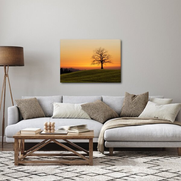 Tablou cu apus de soare pe o luncă (70x50 cm)