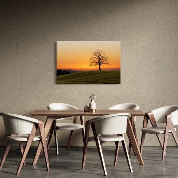 Tablou cu apus de soare pe o luncă (90x60 cm)