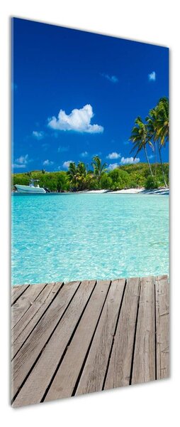 Tablou Printat Pe Sticlă plaja tropicala