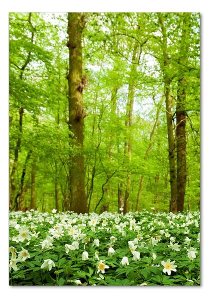 Imagine de sticlă Flori în pădure