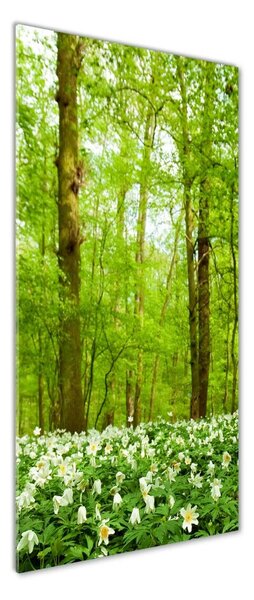 Imagine de sticlă Flori în pădure