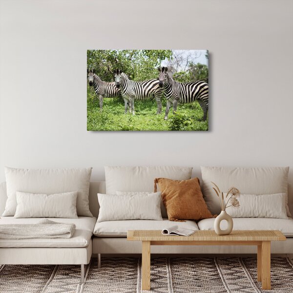 Tablou cu zebre (90x60 cm)