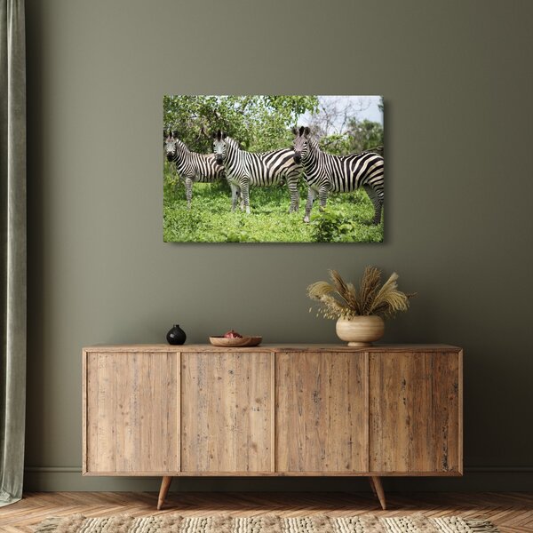 Tablou cu zebre (90x60 cm)