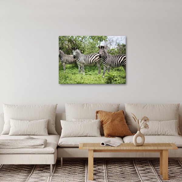 Tablou cu zebre (70x50 cm)