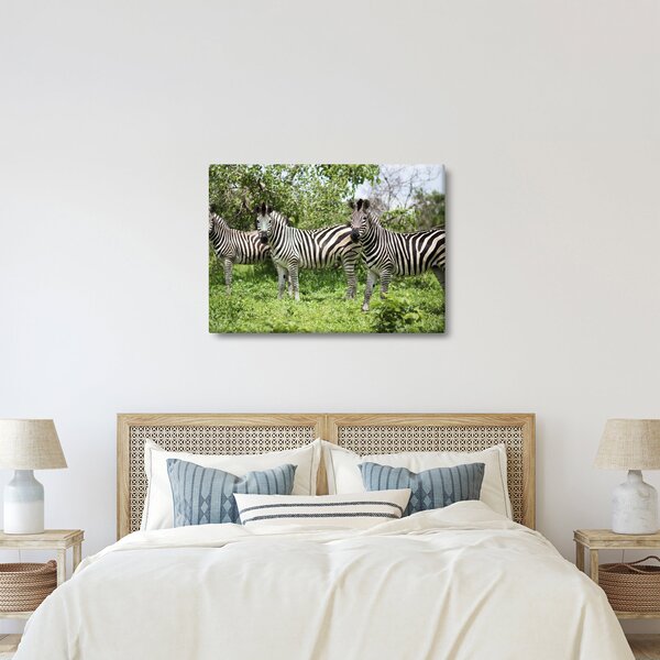 Tablou cu zebre (70x50 cm)