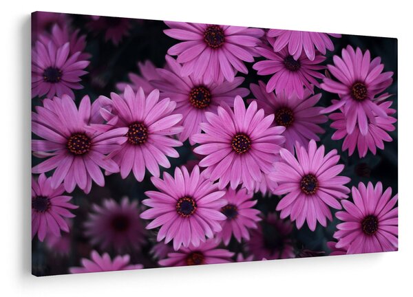 Tablou cu florile roz (90x60 cm)