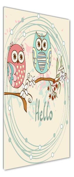 Tablou Printat Pe Sticlă Owls