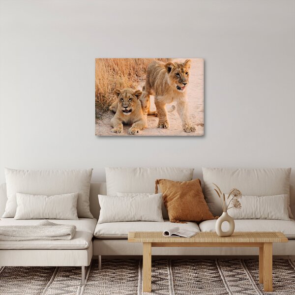 Tablou cu pui de leu (70x50 cm)