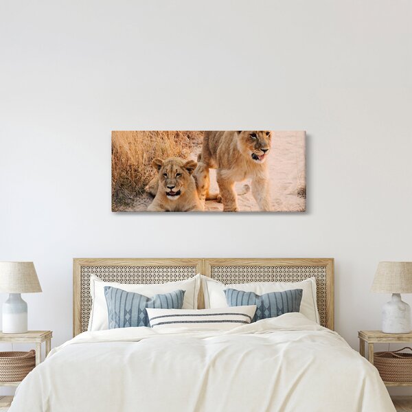 Tablou cu pui de leu (120x50 cm)
