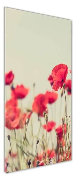 Tablou sticlă wildflowers maci