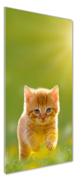 Tablou sticlă Red Cat