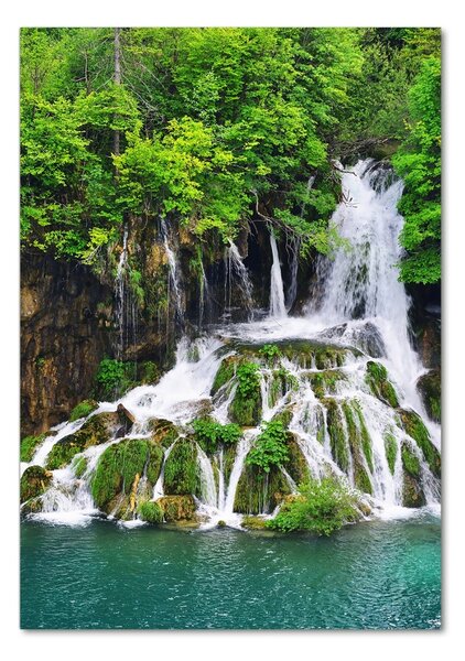 Tablou Printat Pe Sticlă Cascada din pădure