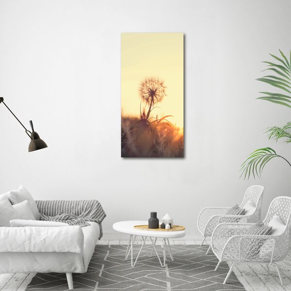 Tablou canvas Păpădie