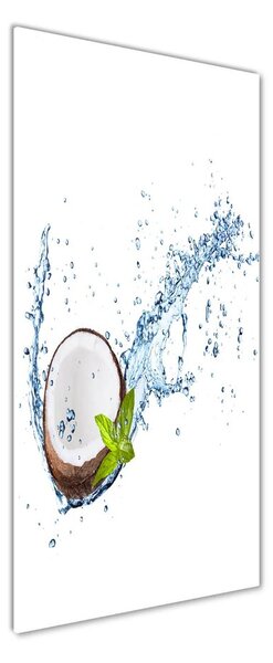 Tablou pe pe sticlă nucă de cocos