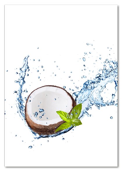 Tablou pe pe sticlă nucă de cocos