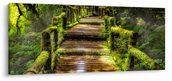 Tablou cu scări într-o pădure tropicală (120x50 cm)