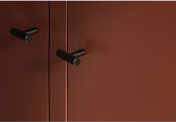 Cârlige negre 2 buc. de montat pe perete din metal Rof – Blomus