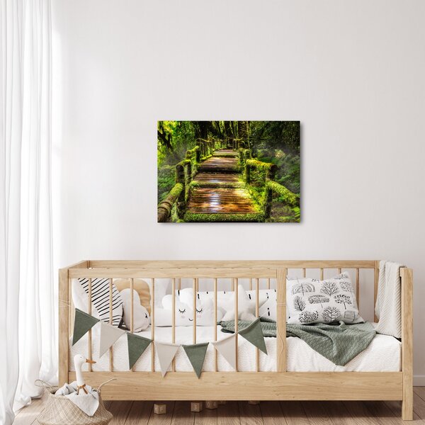 Tablou cu scări într-o pădure tropicală (70x50 cm)