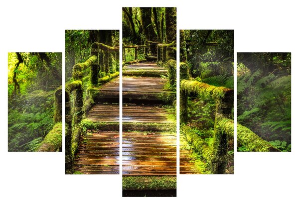 Tablou cu scări într-o pădure tropicală (150x105 cm)