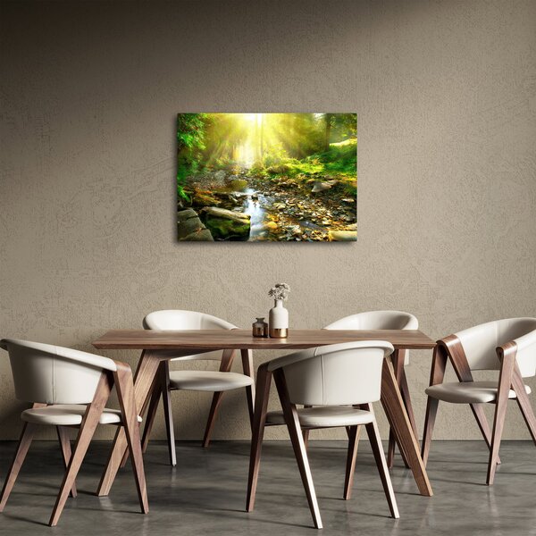 Tablou cu râul în pădurea verde (70x50 cm)