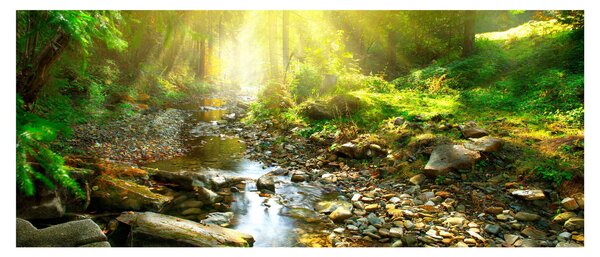 Tablou cu râul în pădurea verde (120x50 cm)
