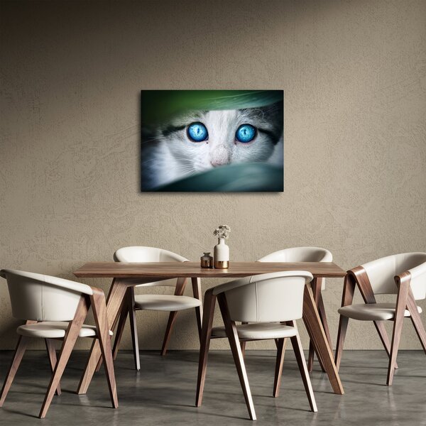 Tablou cu pisica (70x50 cm)
