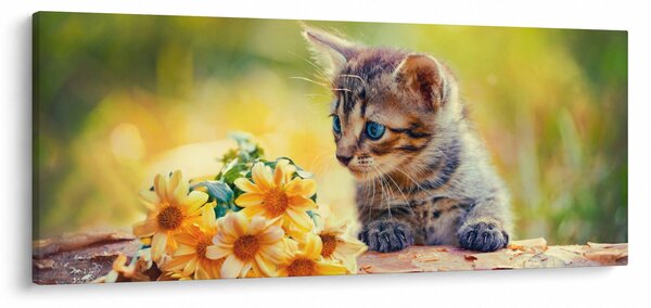 Tablou cu pisicuța uitându-se la floare (120x50 cm)