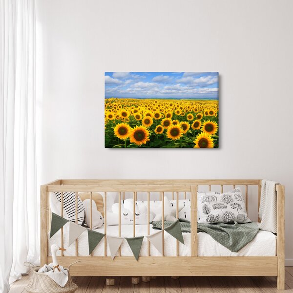 Tablou cu lan de floarea soarelui (90x60 cm)