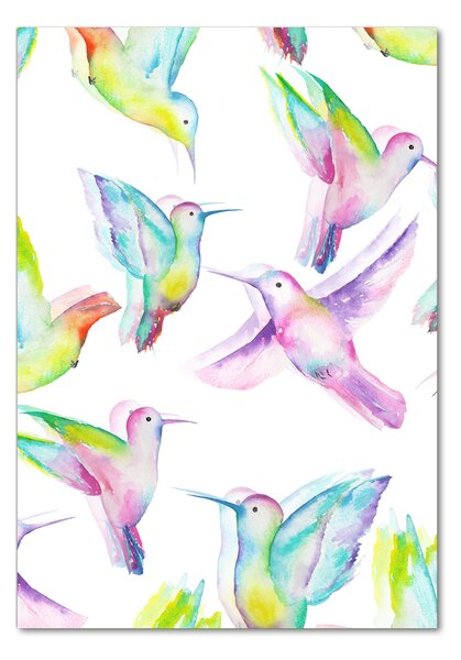 Tablou Printat Pe Sticlă colibri colorate