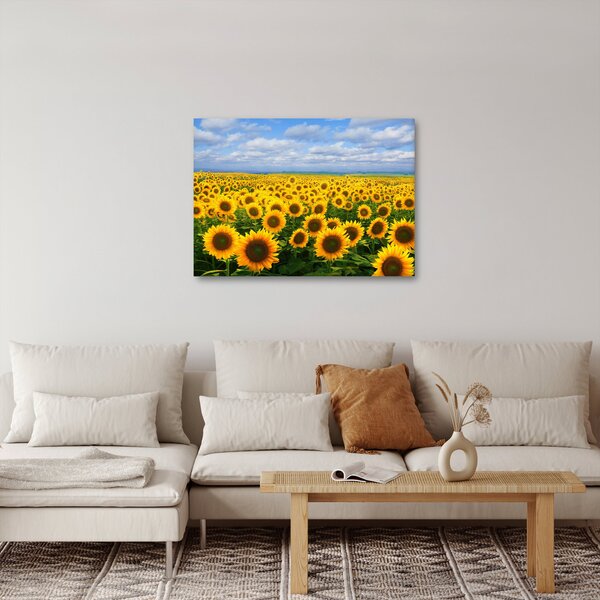 Tablou cu lan de floarea soarelui (70x50 cm)