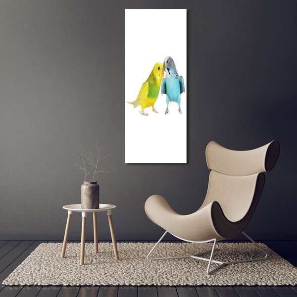 Fotografie imprimată pe sticlă budgies
