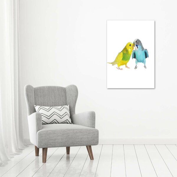 Fotografie imprimată pe sticlă budgies