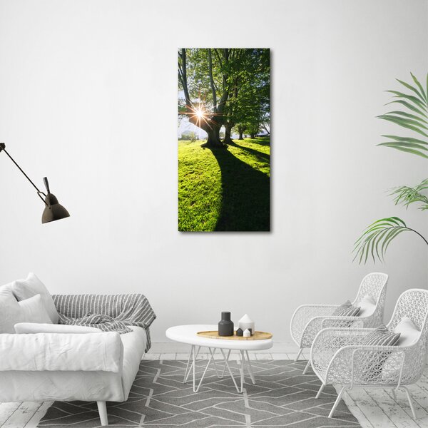 Imprimare tablou canvas Parc