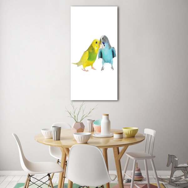 Fotografie imprimată pe sticlă budgies