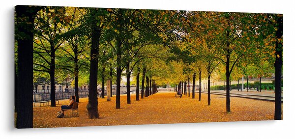 Tablou cu alee cu copaci în toamnă (120x50 cm)