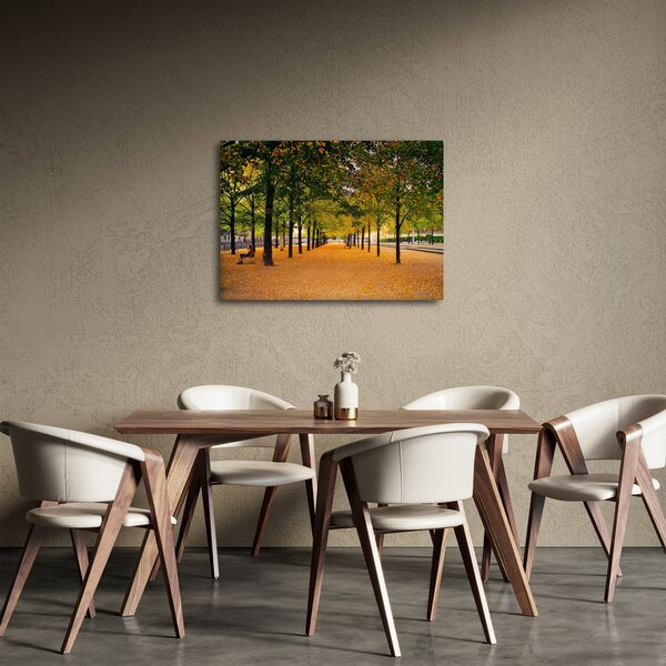 Tablou cu alee cu copaci în toamnă (70x50 cm)