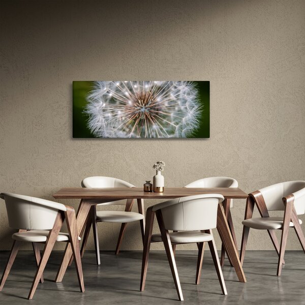 Tablou cu păpădie (120x50 cm)