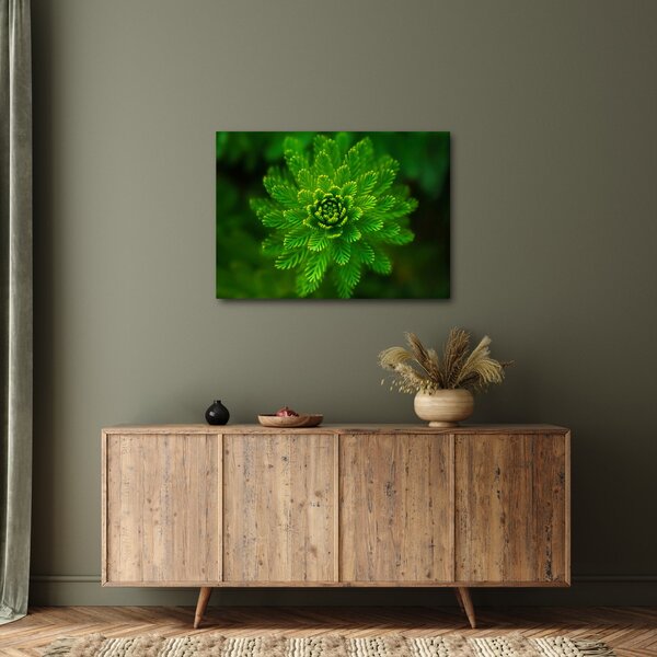 Tablou cu coniferi (70x50 cm)